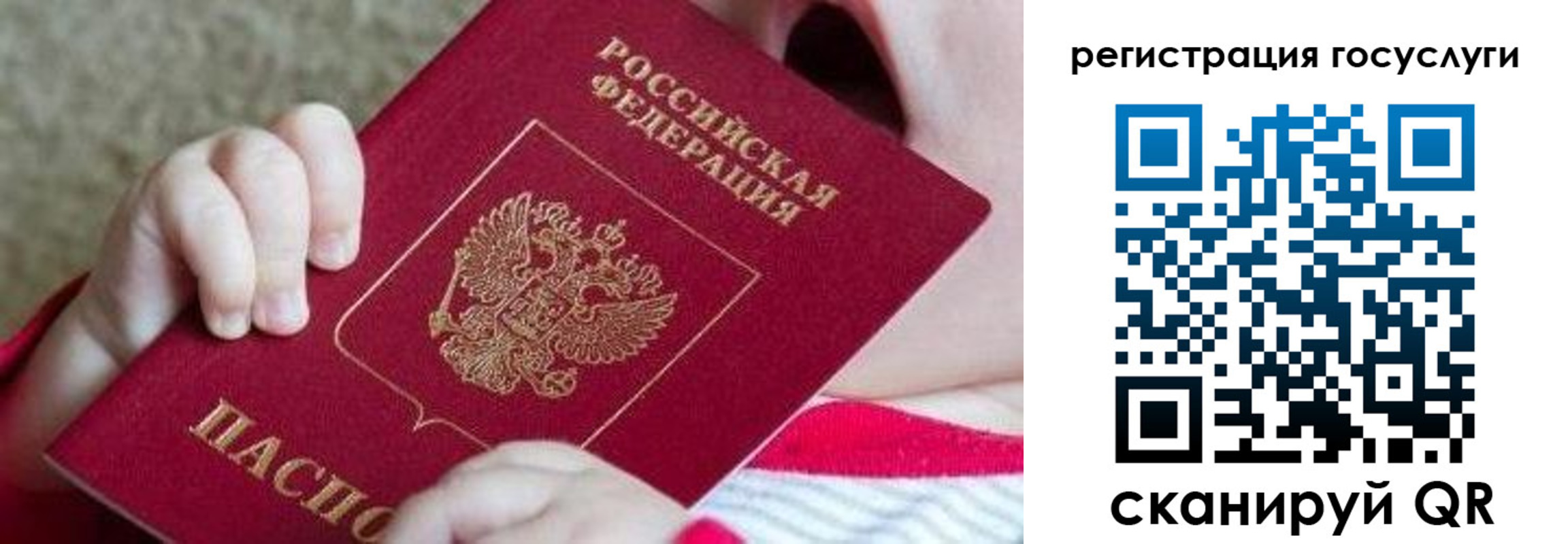 регистрация для школы в Ставропольском крае